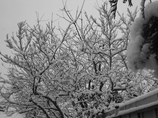 Rennes sous la neige